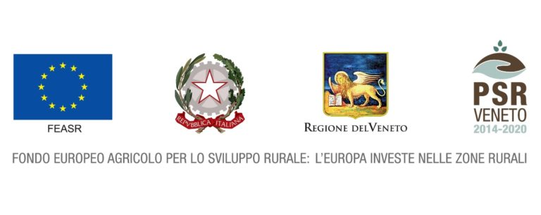 LOGO REGIONE COOPERAZIONE MIS 16